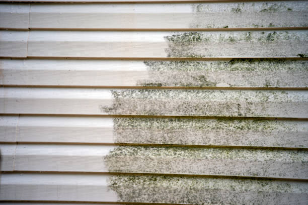  Mississippi State, MS Siding Installation Pros